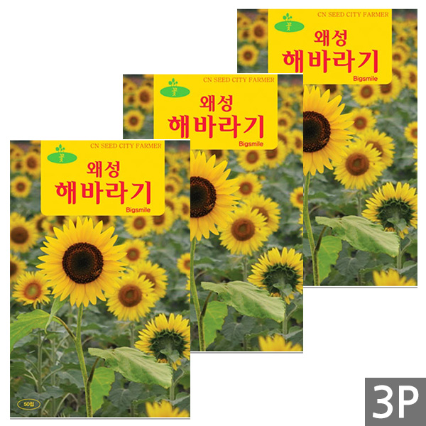 세인화분 키 작은 왜성 해바라기 50립 - 꽃씨 꽃씨앗 씨 씨앗 8,800원