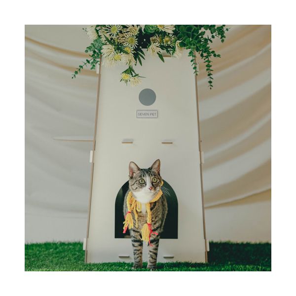 세븐펫 고양이 캣타워 공중정원 82,300원