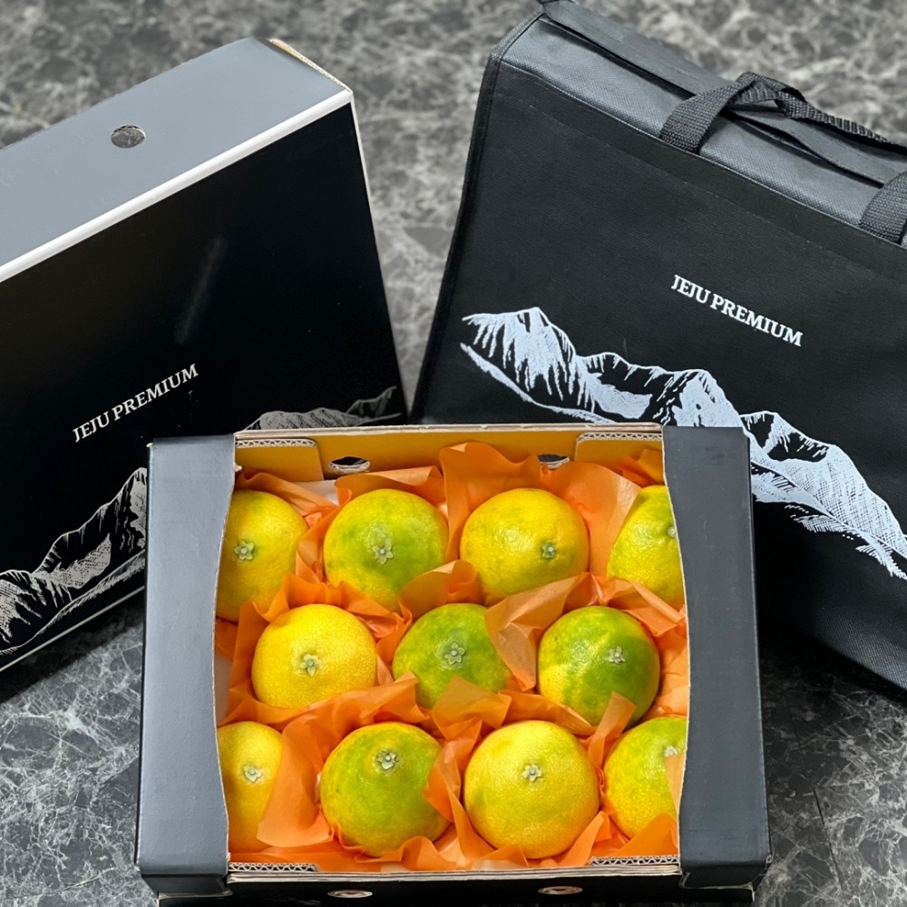 새벽에 따서 그날 보내는 서귀포농장 직송 황금향 선물세트 3kg 5kg 56,500원