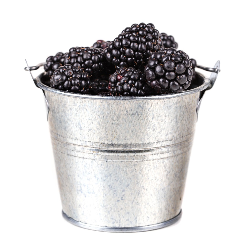 [억수로상회] 고창 산지직송 블랙베리(급냉/특품) 슈퍼복분자 대용량 79,900원