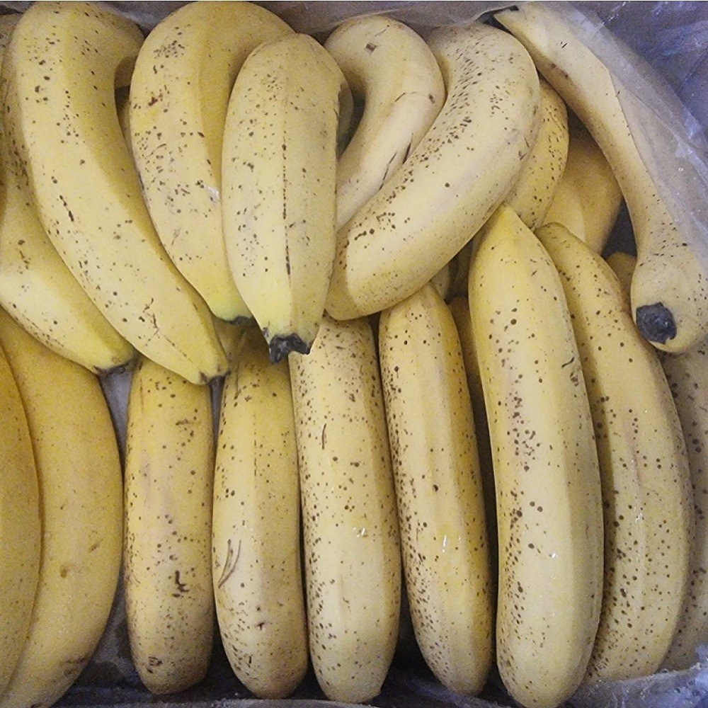 고당도 낱발 못난이 바나나 23,900원