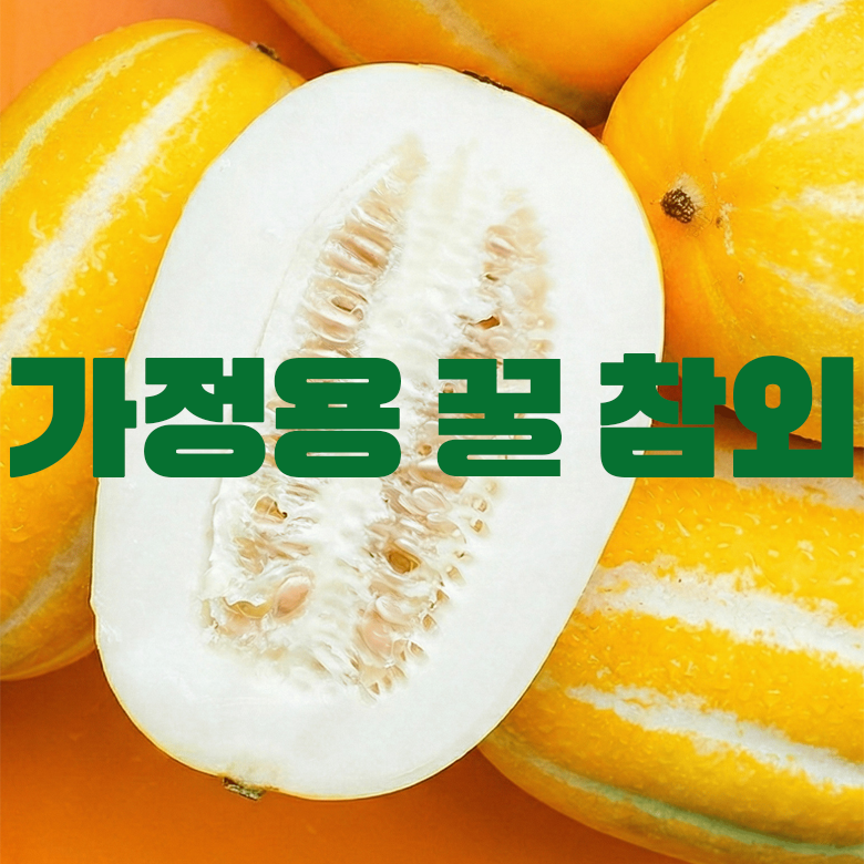 성주 참외 꿀참외 당도보장 산지직송, 2kg 3kg 5kg (박스+포장재 포함 무게) 가정용 가성비 실속형 41,800원