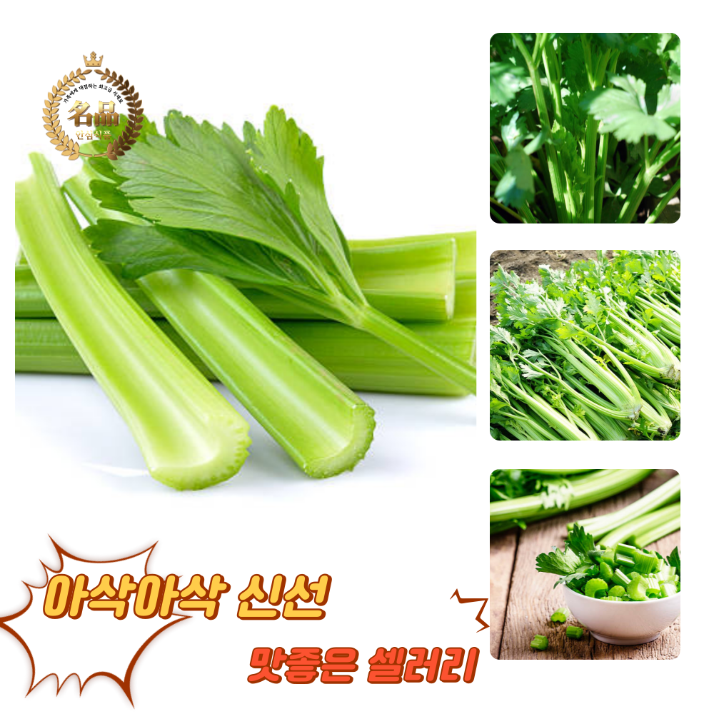 [굿피플] 셀러리 국내산셀러리 샐러리 celery 새러리 야채셀러리 셀러리스틱, 2kg, 1박스 12,860원