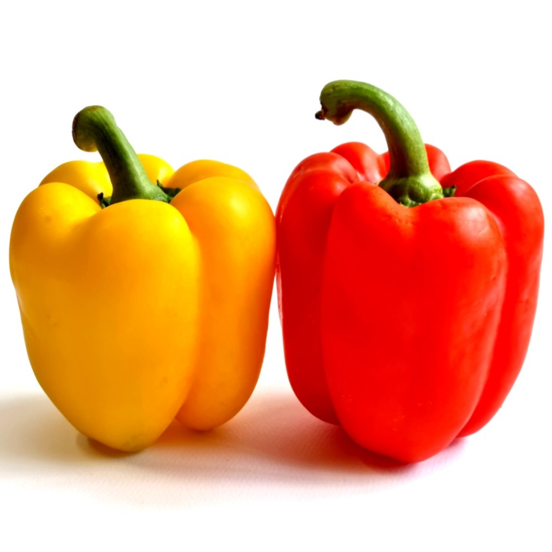 [당일출고] GAP인증 국내산 가정용 못난이 파프리카 혼합 (빨강,노랑 혼합) 14,500원