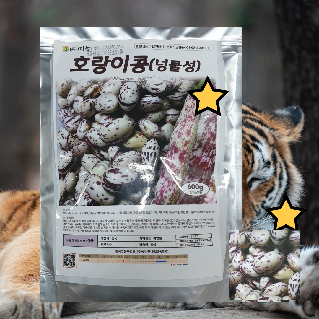 강낭콩씨앗 대포장 호랑이콩 600g 1개,덩굴성 호랑이강낭콩 다농종묘 45,000원