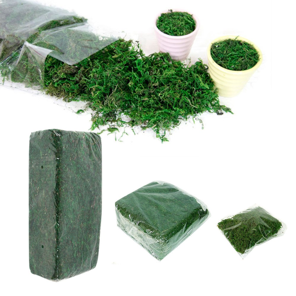 흙쟁이 청이끼 화분장식 각종인테리어 원예부자재 조화 12,500원