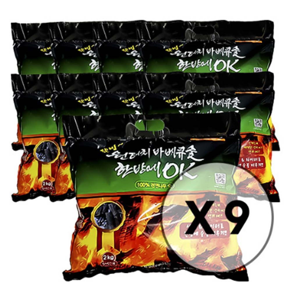 웰빙 원터치 바베큐숯 한방에 OK 2KG 천연나무 캠핑 업소 착화제 점화 구이용 참숯 89,000원
