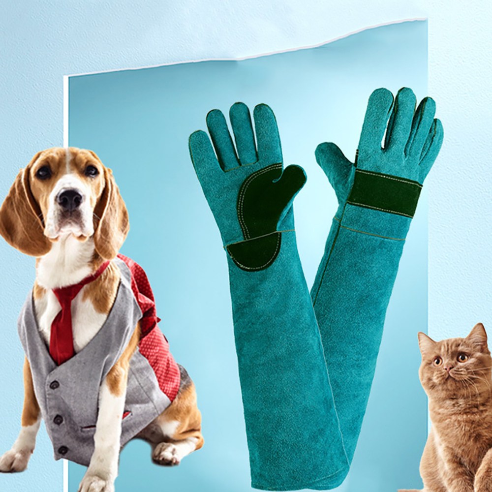 키치스 강아지 입질 보호 가죽 장갑 물림방지 애견 훈련 긴팔보호대 반려견 행동교정 세이프장갑 15,800원
