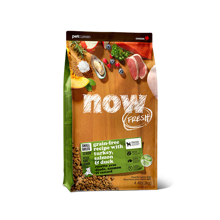 now 그레인프리 스몰브리드 시니어사료, 칠면조, 2kg, 1개 29,410원