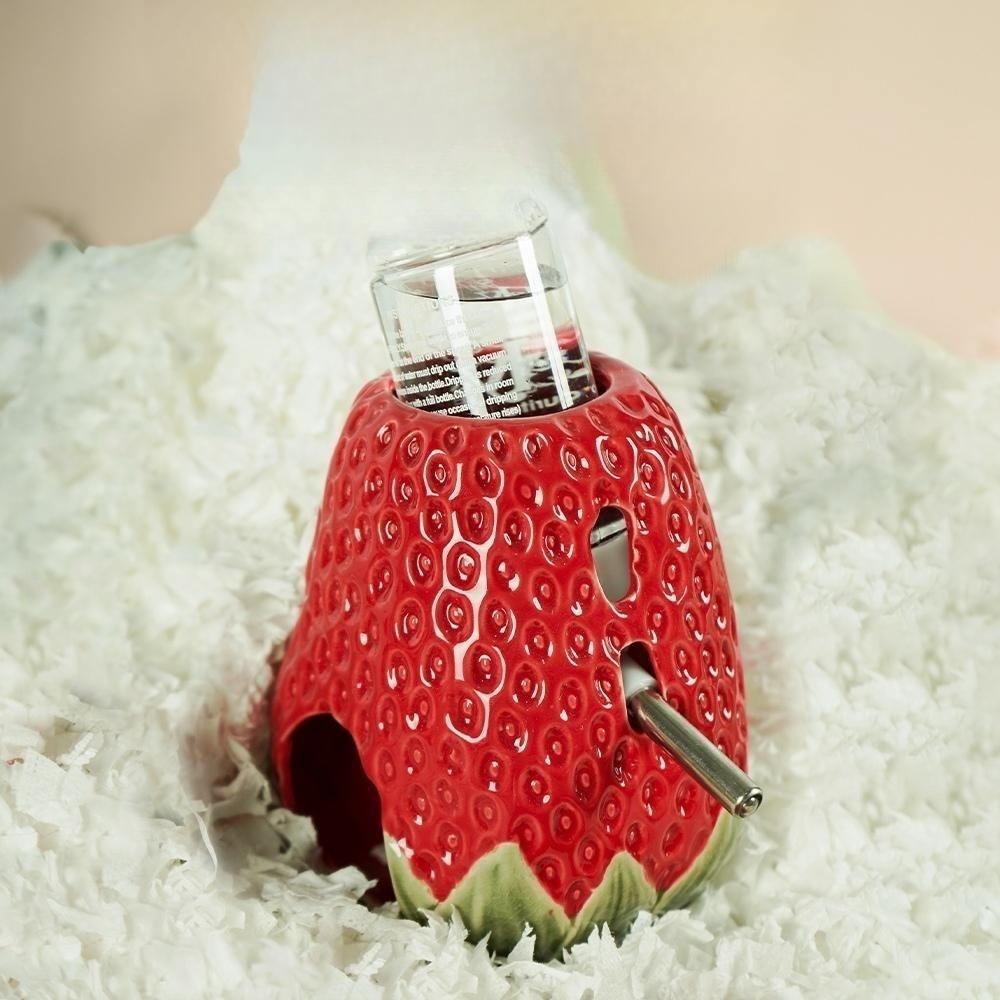 피그미 다람쥐 햄스터 소동물 고급 세라믹 급수기 은신처 26,500원