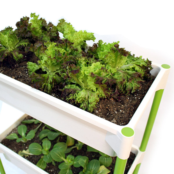 플라팜 베란다텃밭 테라스 2단 화분 채소키우기 36,900원