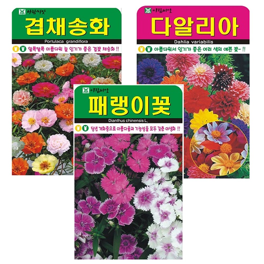 인기 꽃 씨앗 3종 (겹채송화+다알리아+패랭이꽃), 1세트 9,980원