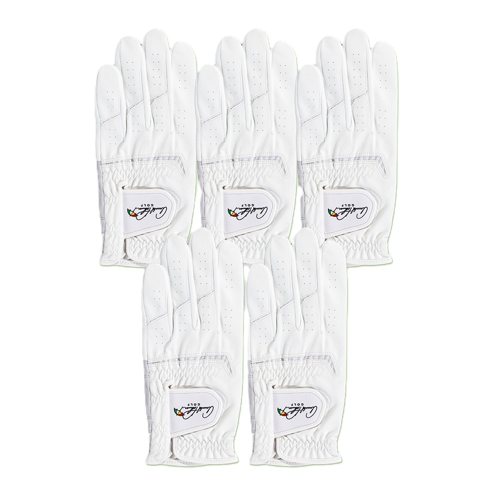 아놀드파마 양피덧뎀 골프장갑 (왼손), 화이트(5p), 5개, 현재가 22,000원