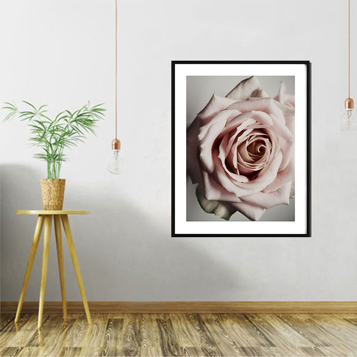 장미 인테리어 카페 펜션 북유럽풍 정물 사진 그림 액자 114,000원