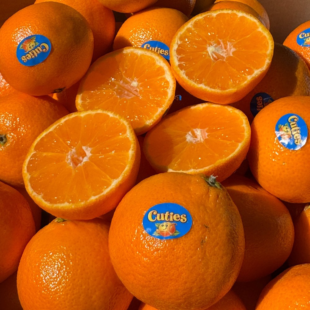 미국직수입 초고당도 고품질 만다린 감귤, 1박스, 10kg 49,650원