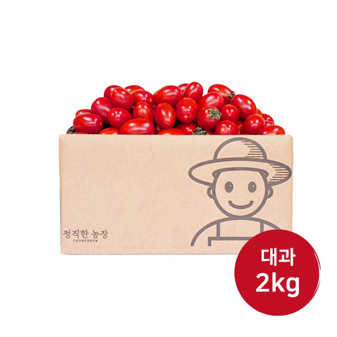 정직한농장 당일수확 산지직송 대추방울토마토 16,900원