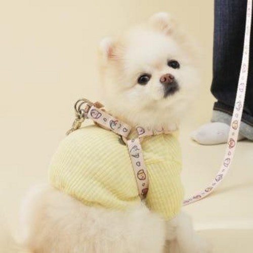 [힛찌 패턴 Y형 하네스 SET] 하네스(S)+리드줄+목쿠션 세트 52,700원