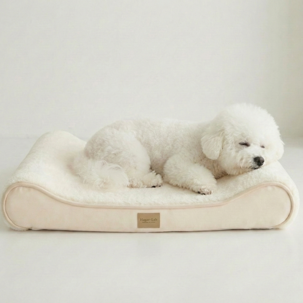 하개랩 강아지 고양이 찰떡척추 침대 방석 쿠션 55,900원