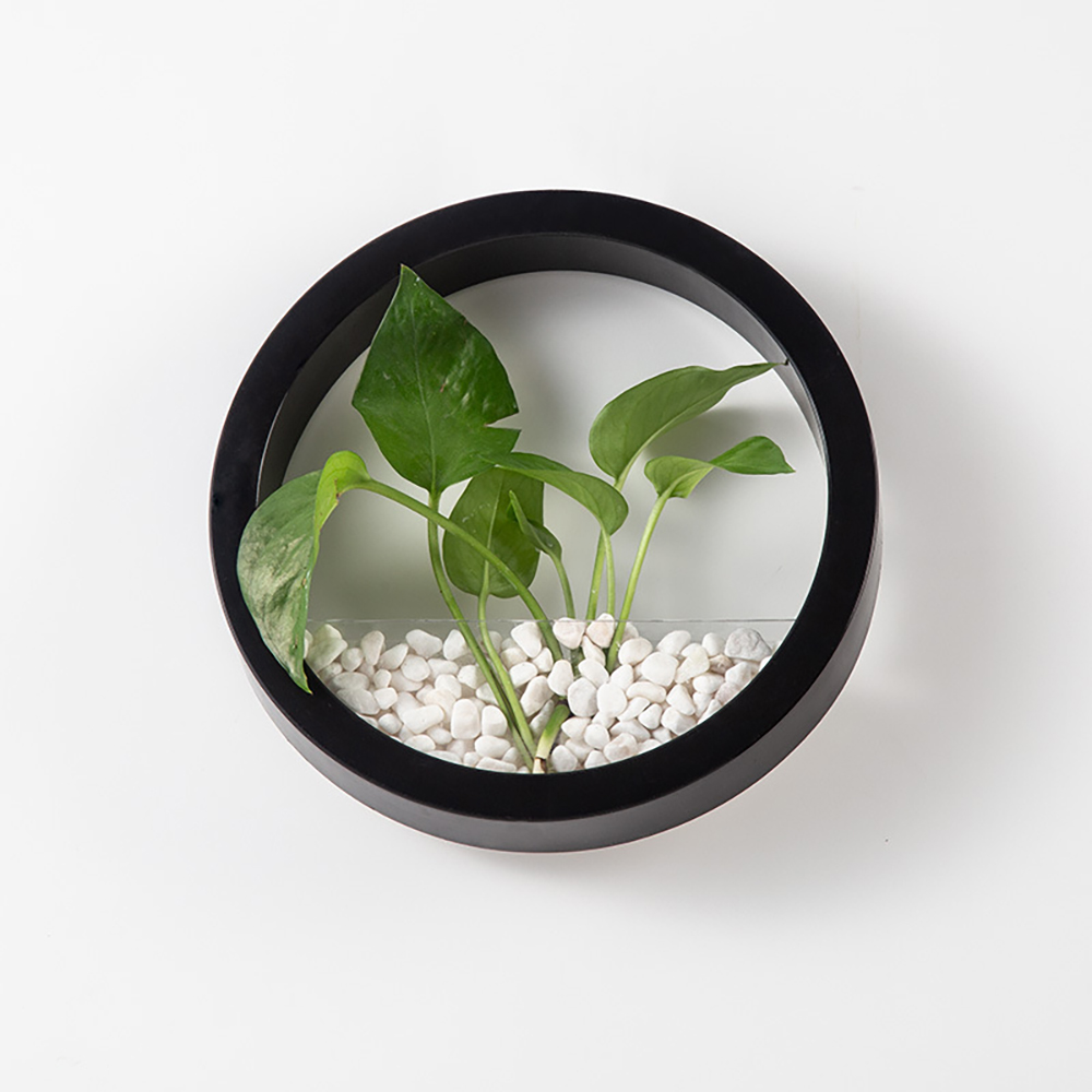 소유공간 수경재배 벽걸이 심플 화분, 블랙, 1개 10,900원