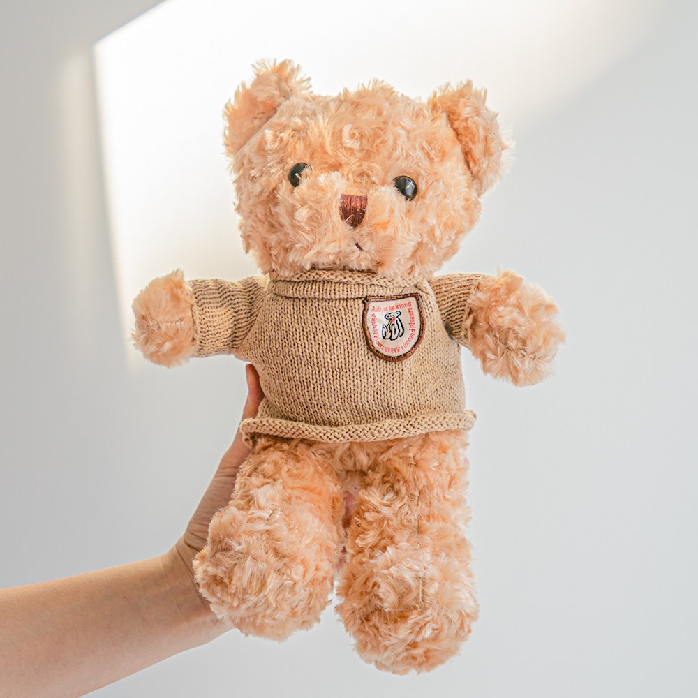 화예원 졸업식 테드 곰돌이 인형 테디 곰 9,900원