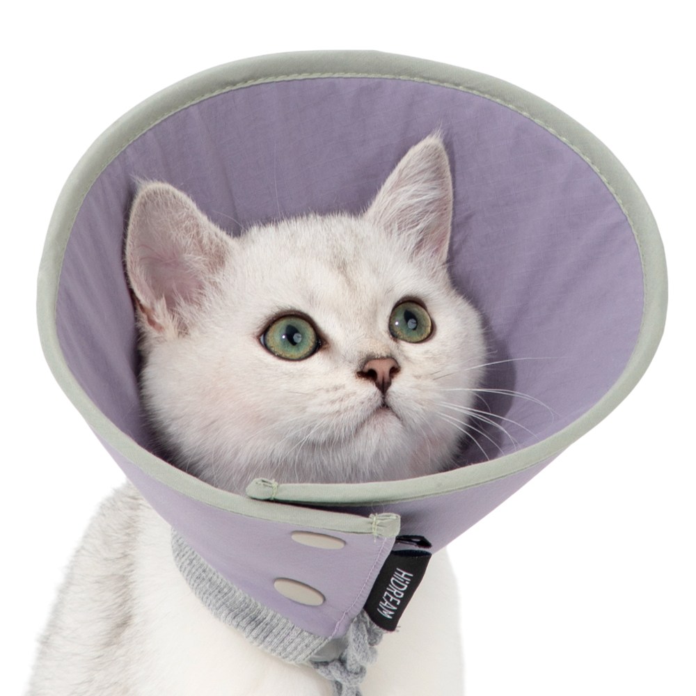 HiDREAM 반려동물 넥카라 깔때기 방수 목보호대 중성화 강아지 고양이 하이드림, 퍼플, 1개 18,000원