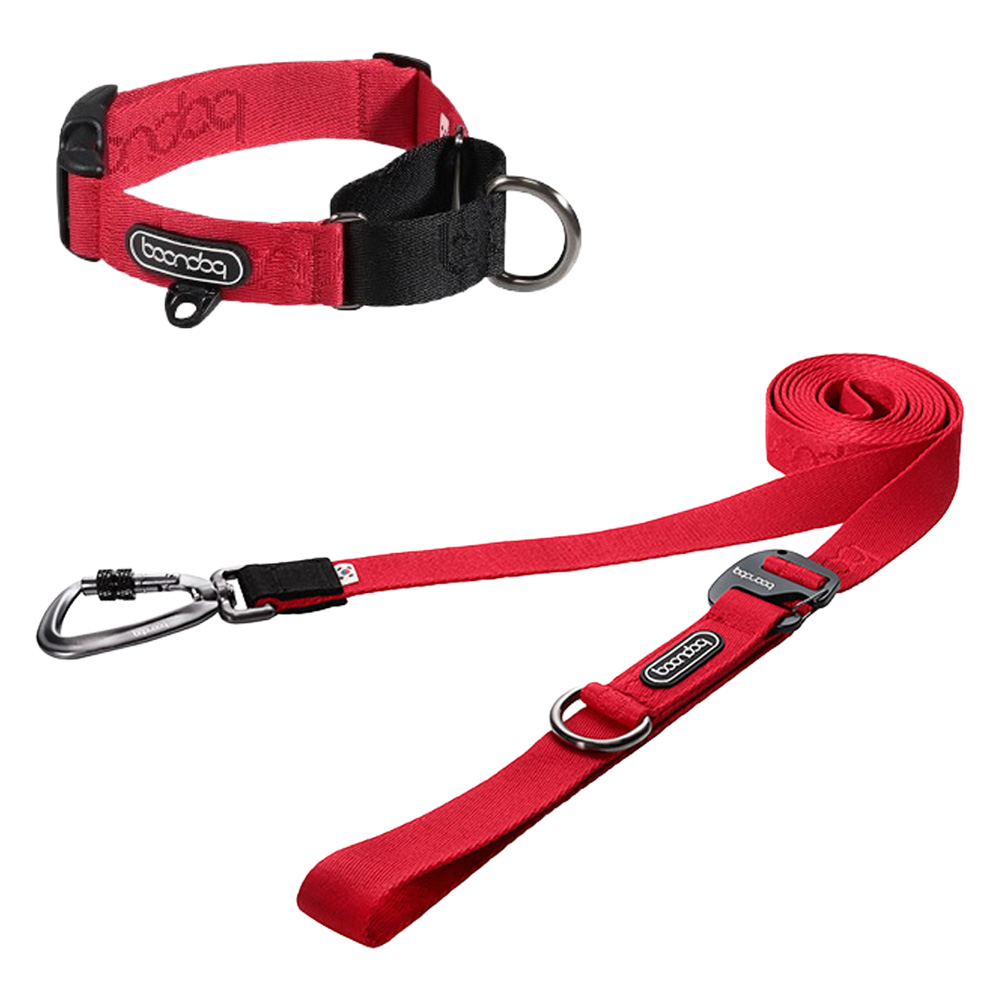 분독 강아지 카라비너 플레이리쉬 250cm + 마틴게일 목줄 세트, 레드, 1세트 77,900원
