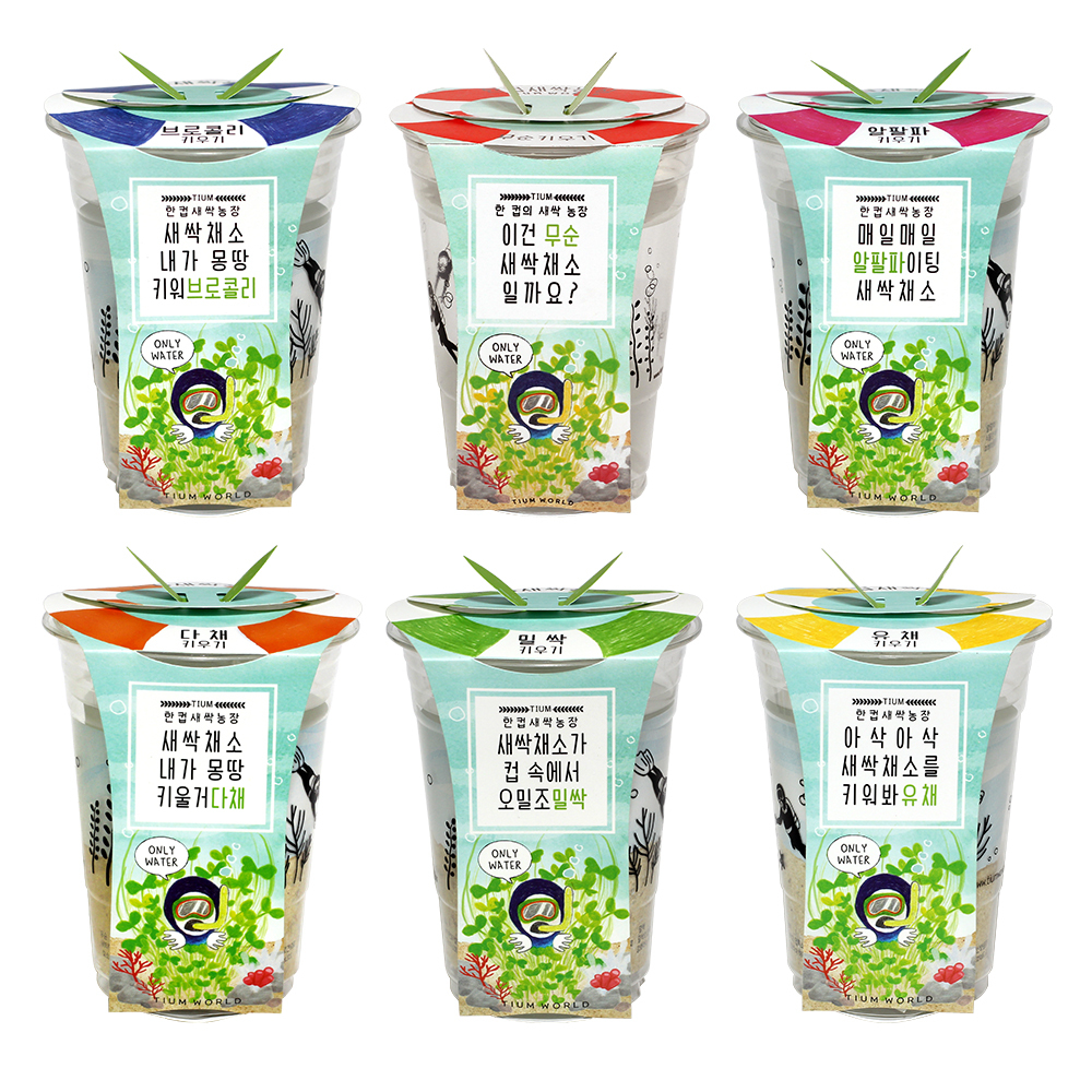 틔움세상 한컵새싹농장 키우기 6종 세트 17,700원