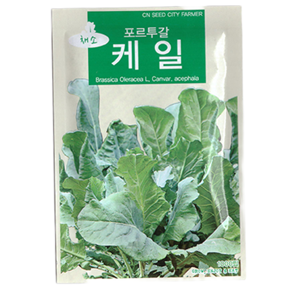 청농 케일 씨앗 1000립, 1개 3,900원