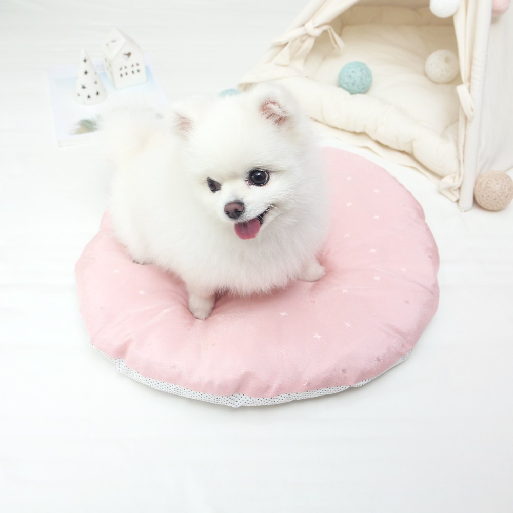 올마이펫 시원한 인견 원형 마카롱 강아지방석 25,900원