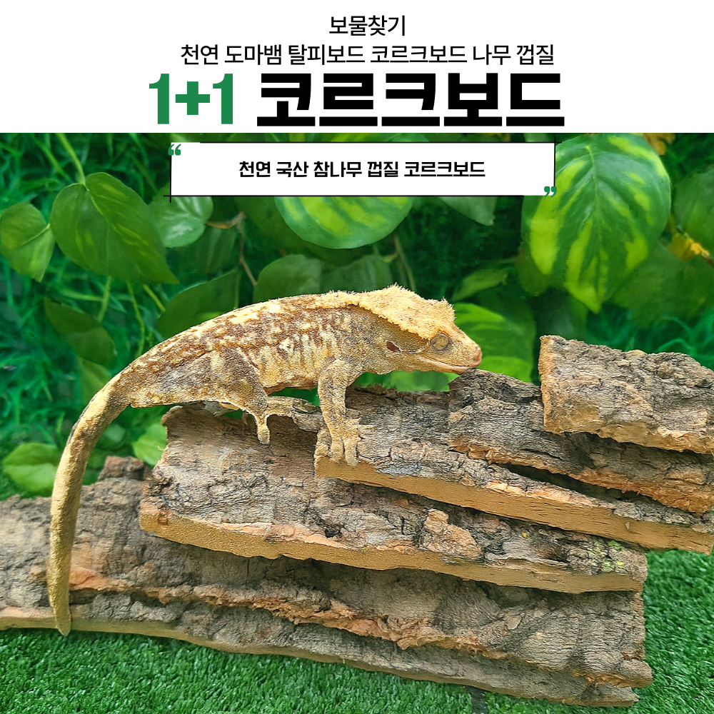 보물찾기 코르크보드 도마뱀 크레 은신처 백업 굴피껍질 사육장 꾸미기 용품 탈피보드 사이즈 8,000원
