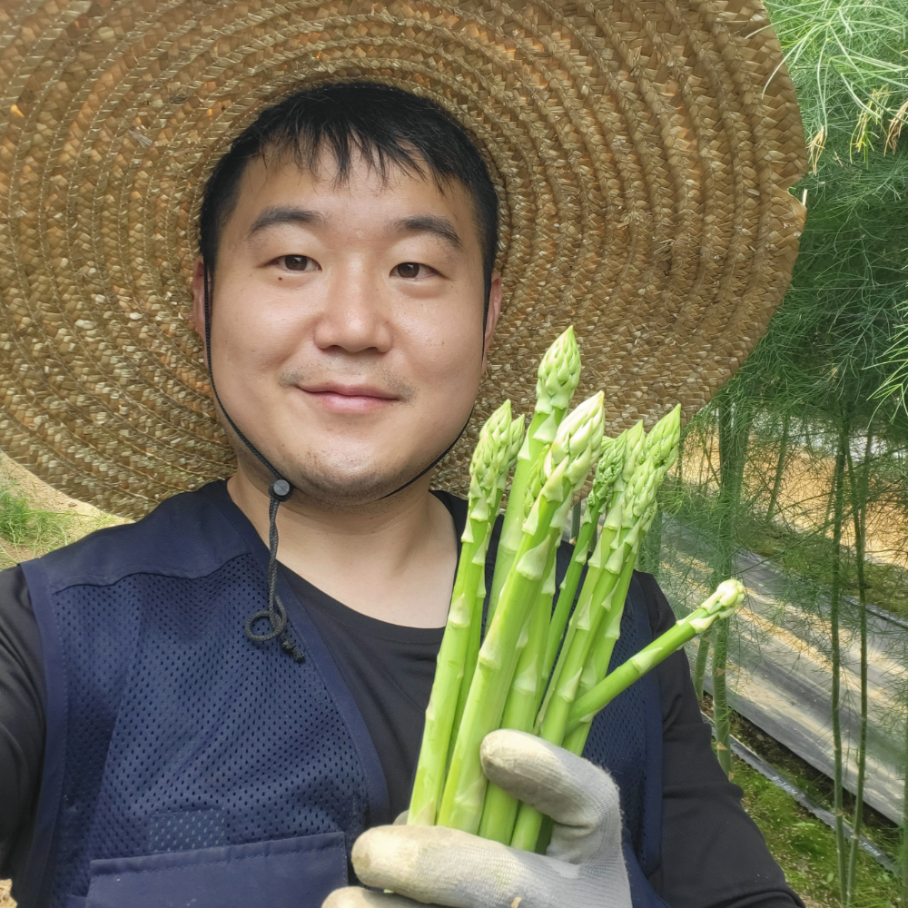 양평농부 국산 생 아스파라거스 새순 (얇은), 2kg, 1개 47,000원