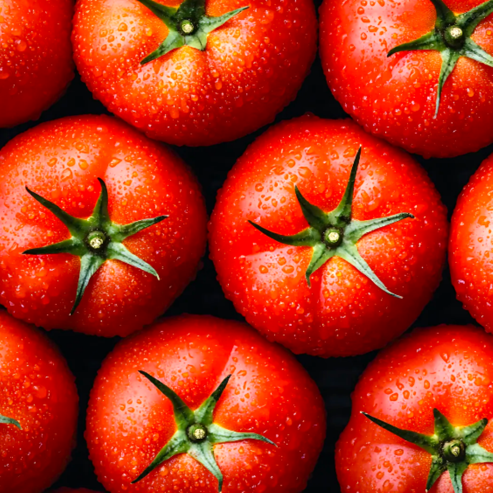 당일수확한 정품 완숙 찰 토마토 특상품 18,850원