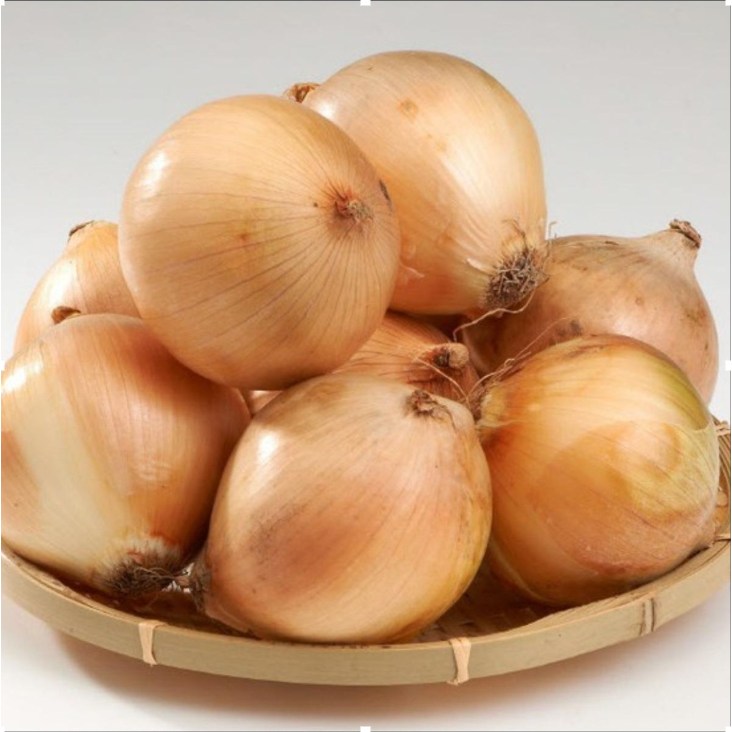 [오늘야채]25년 창녕 햇양파(중) 산지직송 양파 14,000원