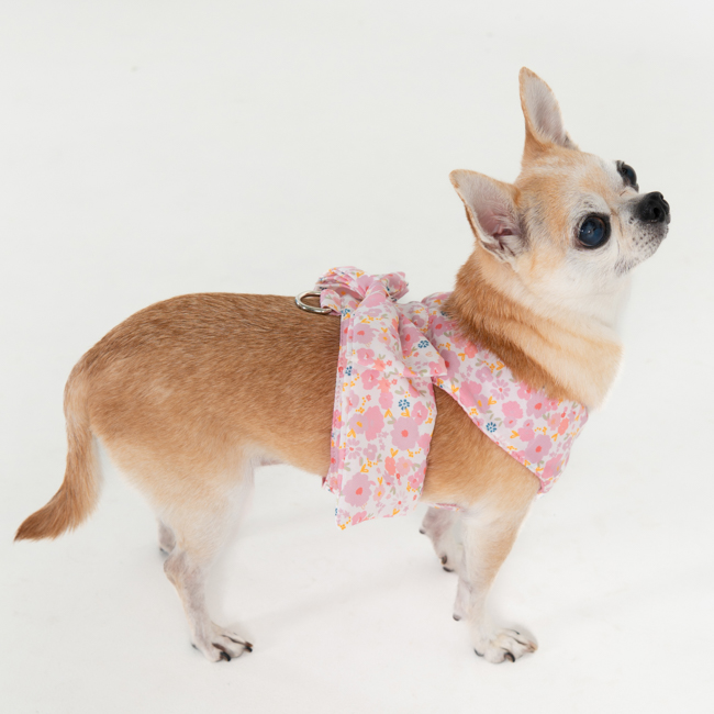 핑카홀릭 반려동물 레아 하네스 HB7864, 핑크, 1개 36,500원