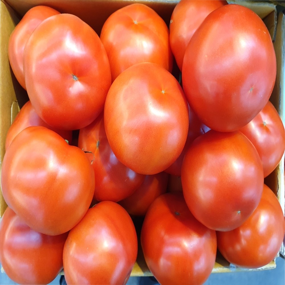 가락시장 토박이유통 완숙 토마토 5kg 특1번/ 특2번 26,000원