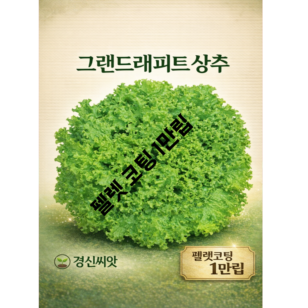 펠렛상추씨앗 1만립 그랜드래피트 상추종자 75,000원