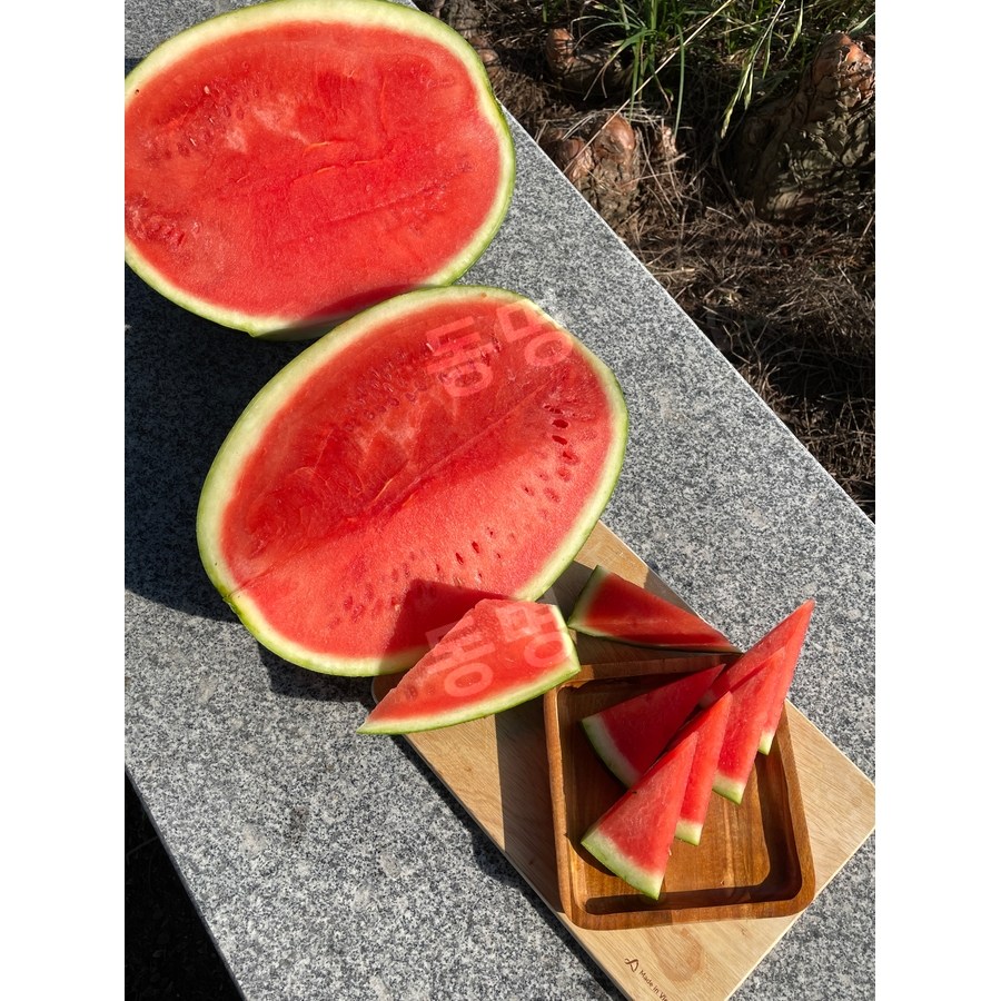 씨드리스 수박 씨없는 고당도 꿀 수박 임산부 에어쉘 포장 31,500원