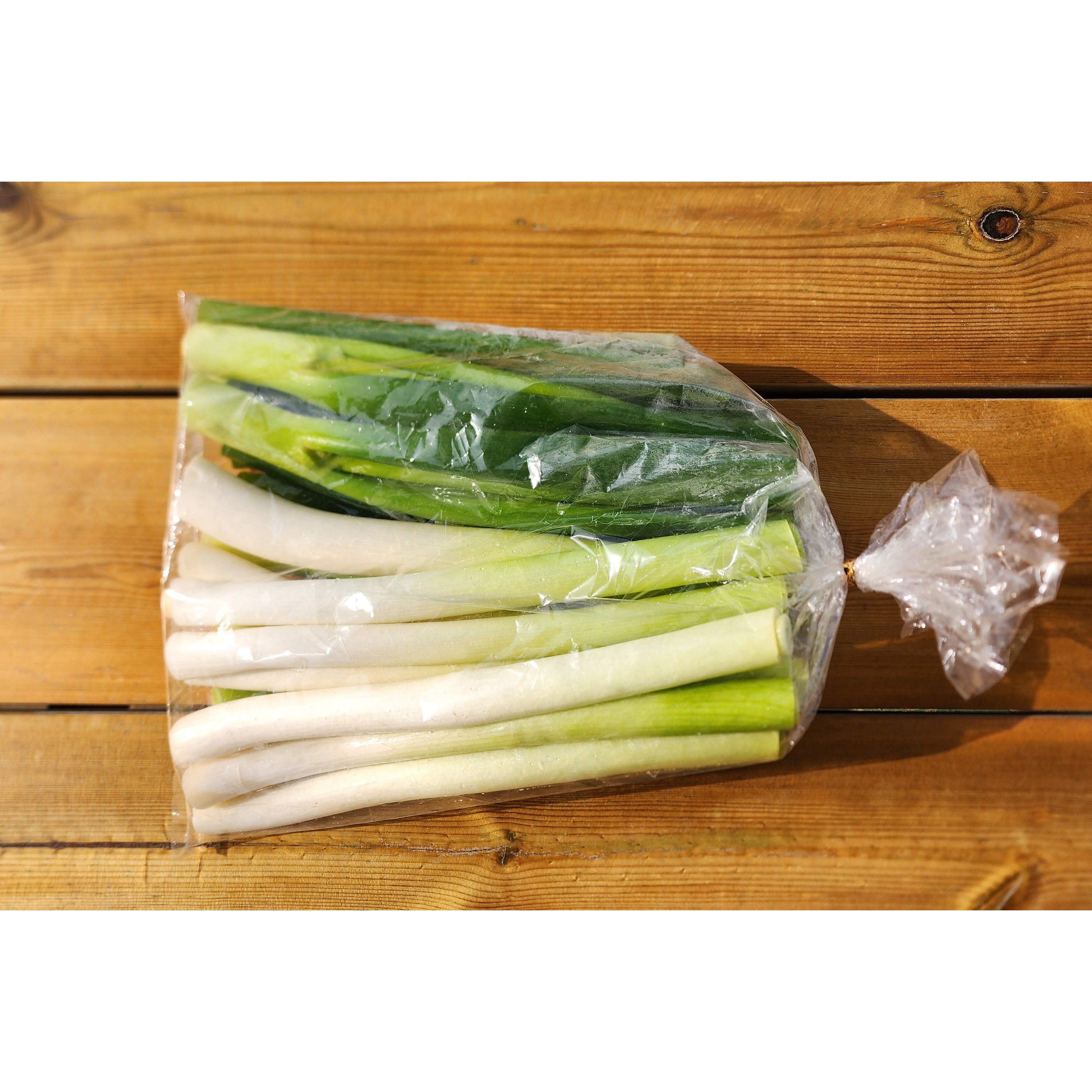 절단대파 출고당일절단 가정용 식자재용, 1개, 1kg 11,300원