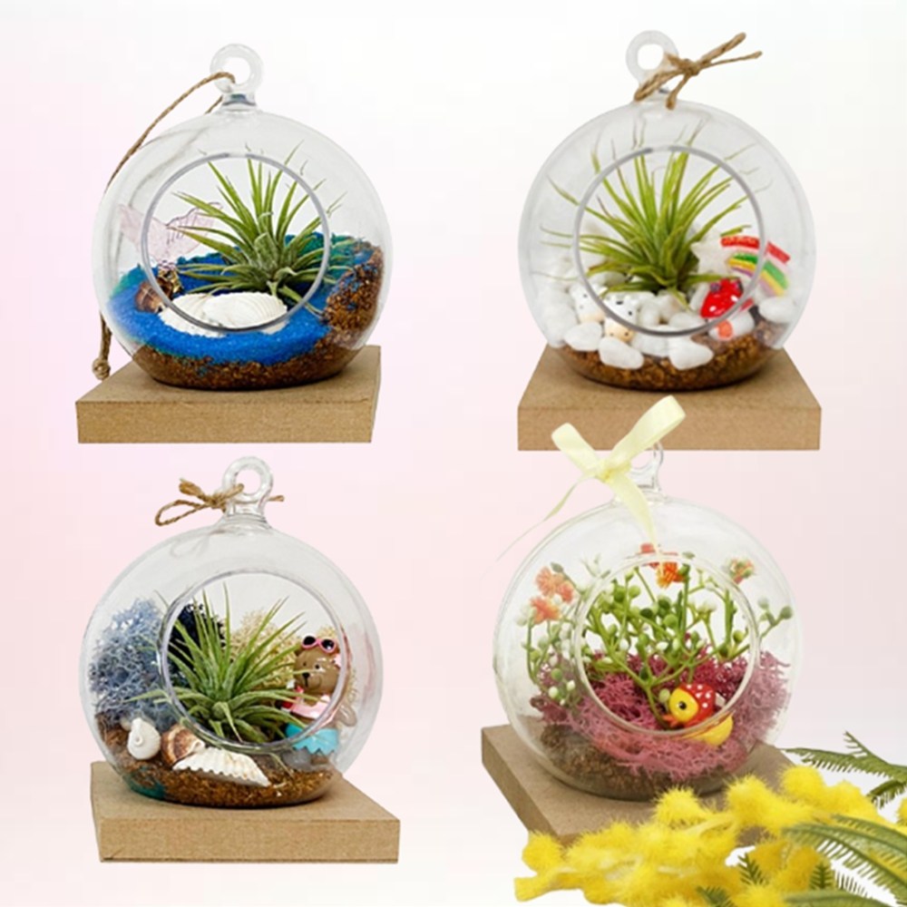 미니 이오난사 테라리움 키트 스칸디아모스 diy 만들기, 1개 7,650원