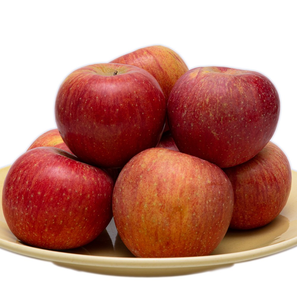 햇 수확 꿀 사과 청송 부사 사과 9,900원