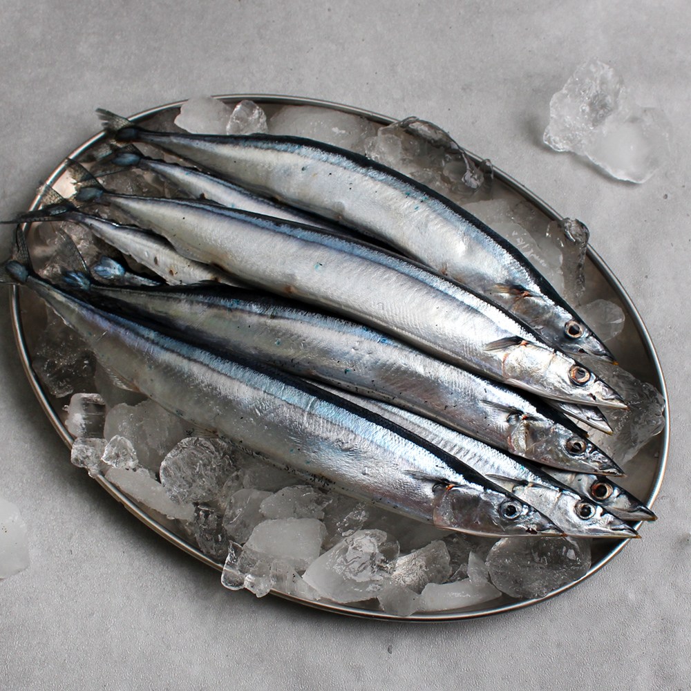 바다받아 냉동 꽁치 / 생선구이 식당용 미끼용 도매 업소용, 1박스, 약 9kg ( 1번 2L 약 70마리) 62,900원