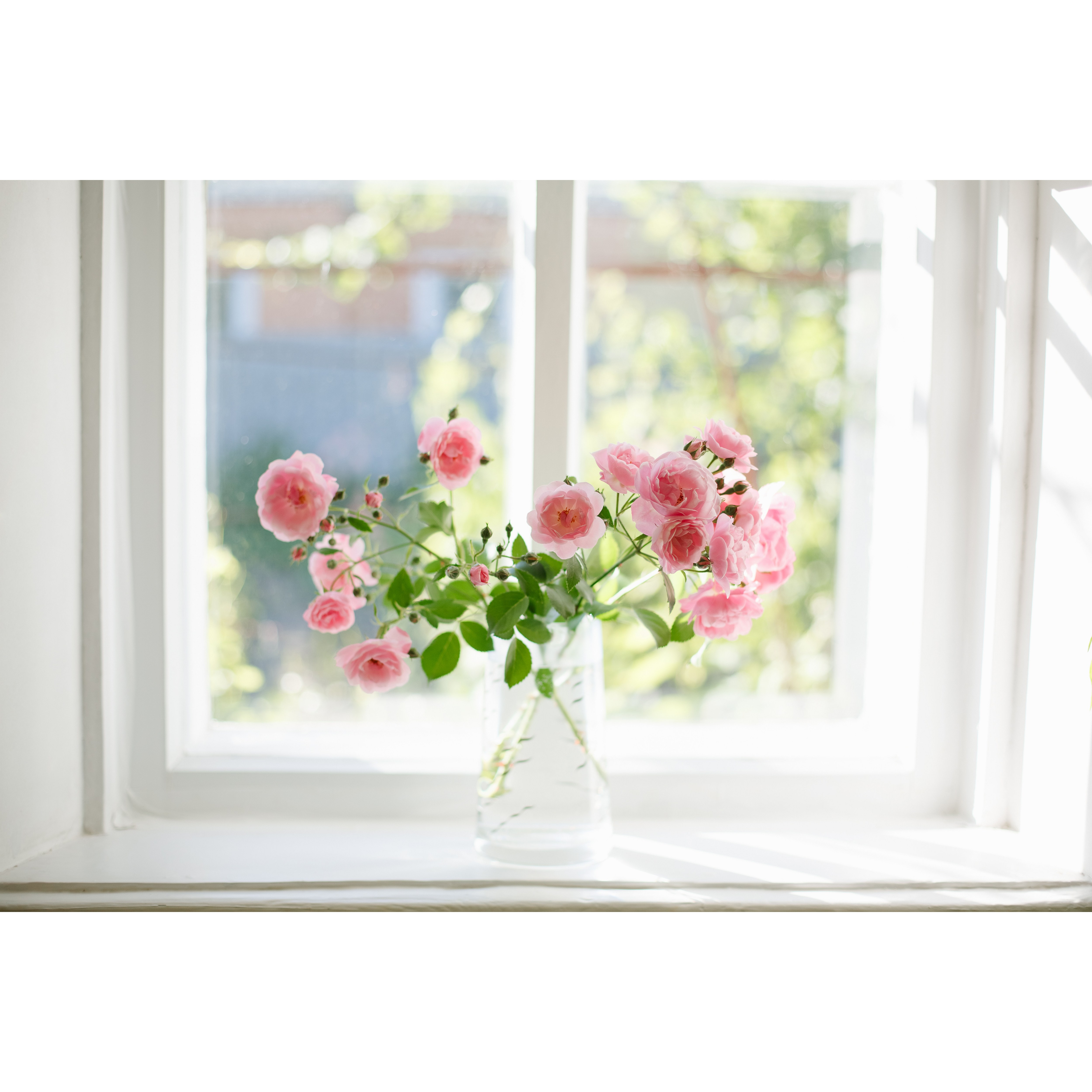 코나 주방아트보드 장미꽃병 29,000원