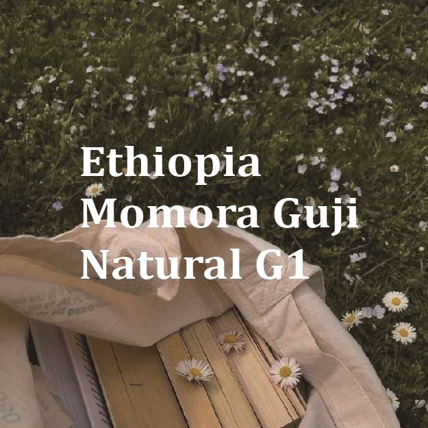 [300g] 에티오피아 모모라 구지 내추럴 G1 _ 아띠제노스랩 스페셜티커피 22,000원