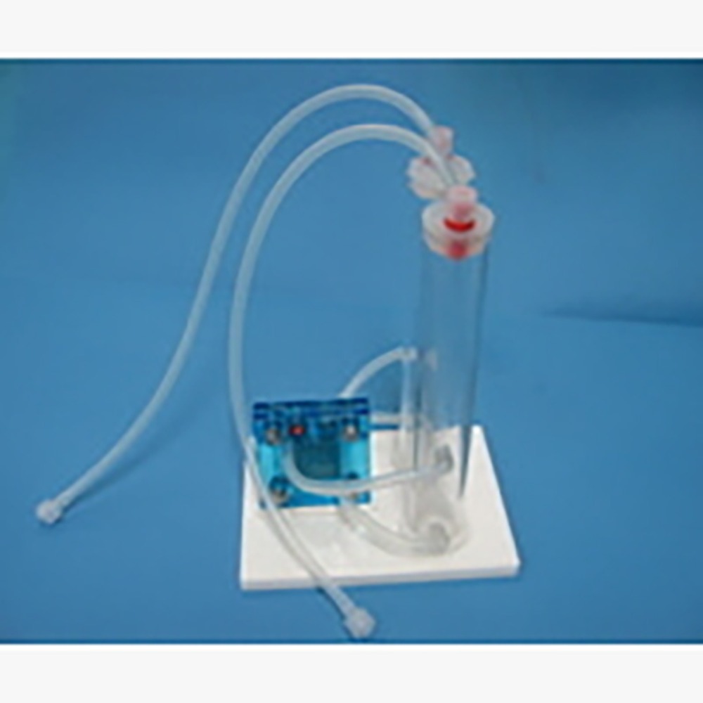 (사이언스마켓)수소및산소가스발생장치 198,000원