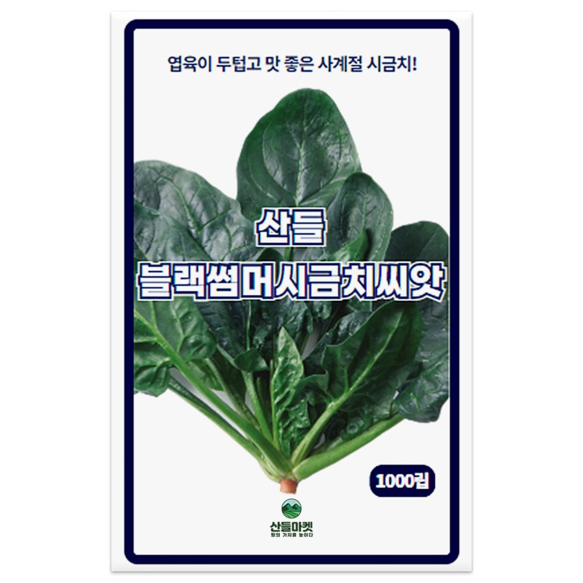 산들 블랙썸머 시금치씨앗 1000립 아주 맛 좋은 사계절용 소량 시금치씨 종자, 3개 5,100원