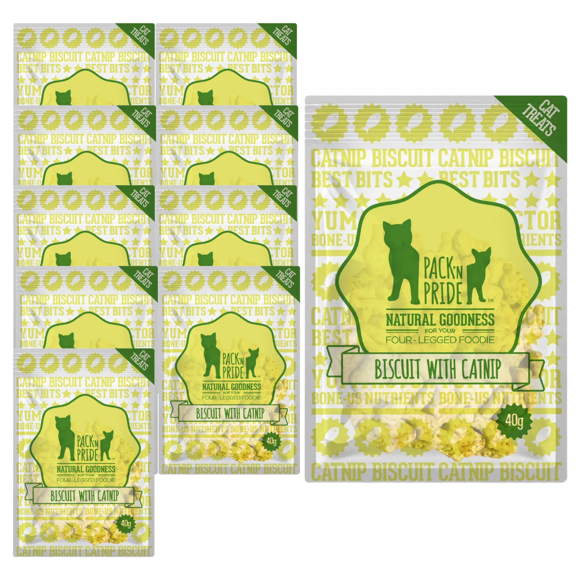팩앤프라이드 고양이 캣닢 비스켓, 10개, 40g, 연어 29,160원