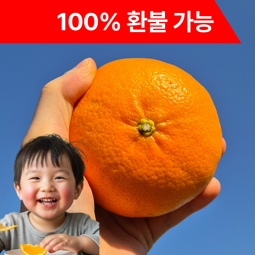 [환불보장] 제주도 레드향 고당도 15브릭스 20,900원