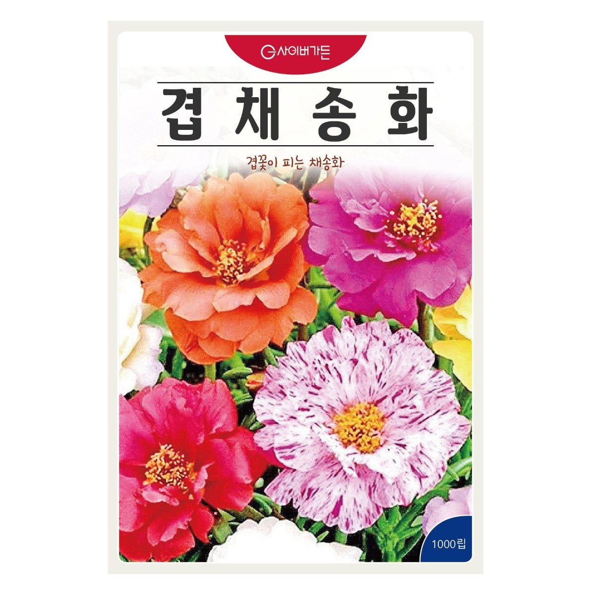 겹채송화 혼합 씨앗(1000립)채송화 꽃씨 종묘 종자 씨 영웅 KS, 1개 3,000원