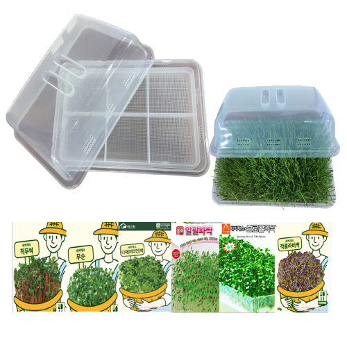 아시아종묘 재배용기 다용도 새싹재배기 씨앗 6종 세트, 1개 19,900원
