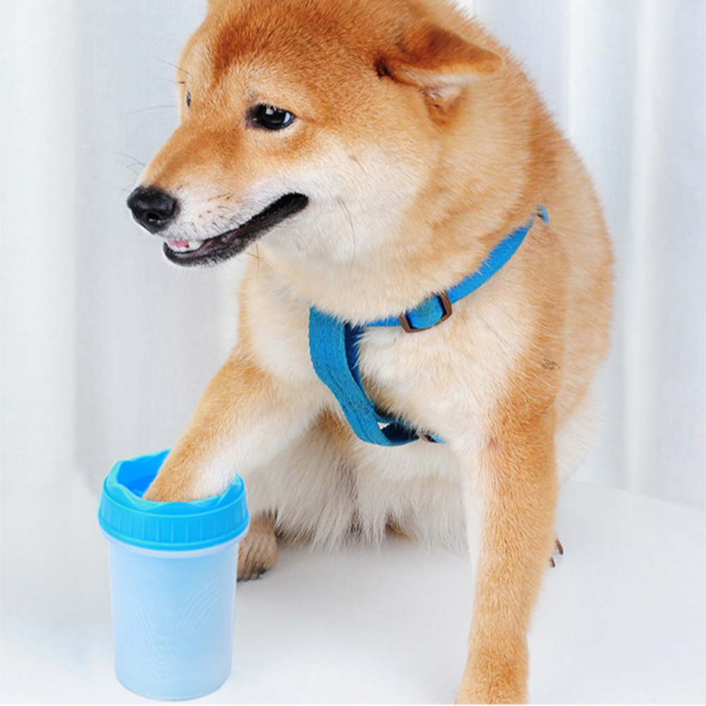 간편 반려동물 발세척컵 강아지 뚱스몰, 블루/소형, 1개, 현재가 15,630원